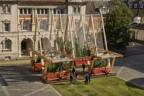 Wooden pavilion structure on a grass lawn surrounded by buildings.