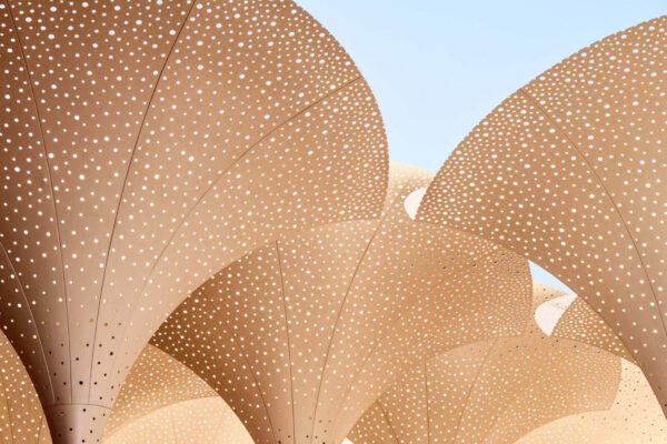 Large fanning structures.