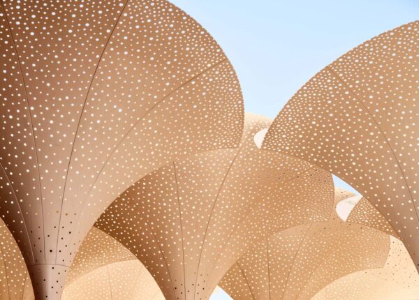 Large fanning structures.