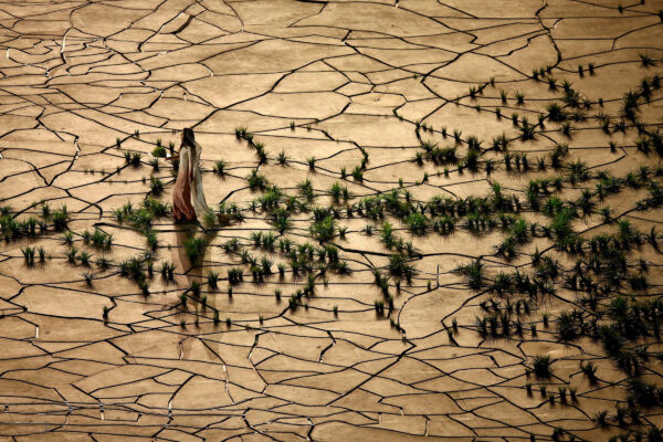 Woman walking on a stage as a trail of kinetic grass rises behind her.
